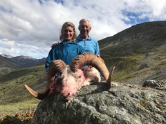 Kendra Besh - 2019 Dall Sheep Tok Management Area