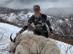 Becky Gerristen-2017-Kodiak Island first goat